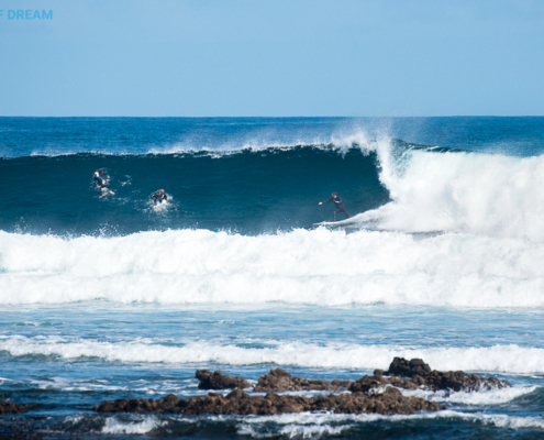 surf Fuerteventura