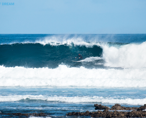 surf Fuerteventura