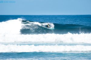 surf Fuerteventura