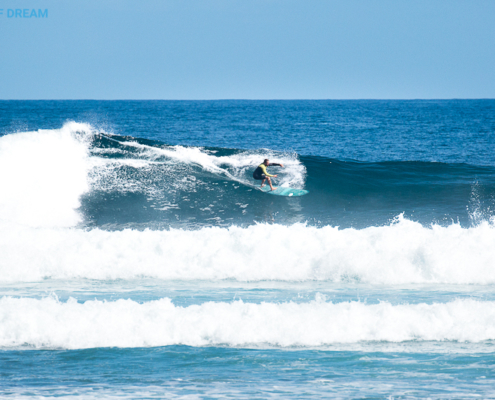 surf Fuerteventura