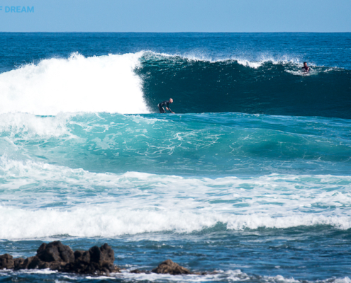 surf Fuerteventura