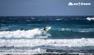 kiteboarding-canary islands-fuerteventura-surfdream-surfing312 