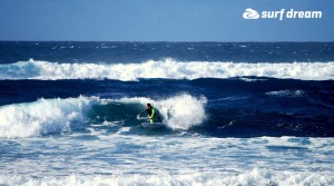 kiteboarding-canary islands-fuerteventura-surfdream-surfing315 