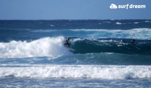 kiteboarding-canary islands-fuerteventura-surfdream-surfing316 