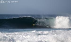 surf-dream-fuerteventura-surfing.7
