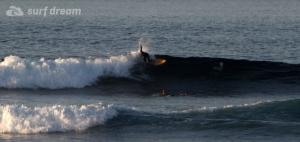 surf-dream-fuerteventura-surfing.81