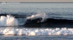 surf-dream-fuerteventura-surfing.89