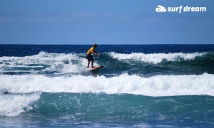 kiteboarding-canary islands-fuerteventura-surfdream-surfing341