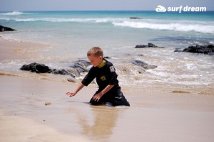 kiteboarding-canary islands-fuerteventura-surfdream-surfing420