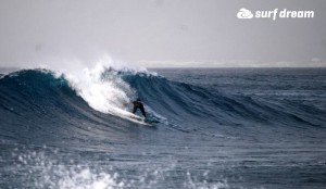 surfing fuerteventura