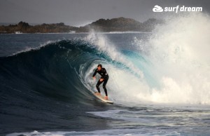surfing fuerteventura