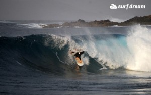 surfing fuerteventura