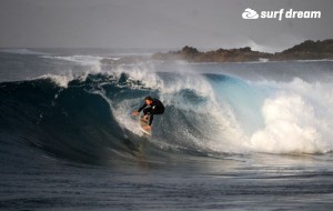 surfing fuerteventura