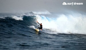 surfing fuerteventura