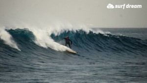 surfing fuerteventura
