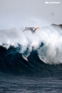 surfing fuerteventura