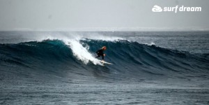 surfing fuerteventura
