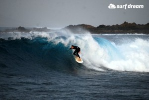 surfing fuerteventura