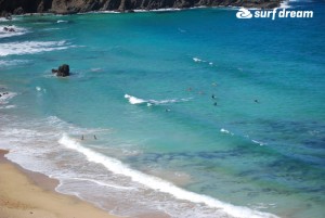 kiteboarding-canary islands-fuerteventura-surfdream-surfing36