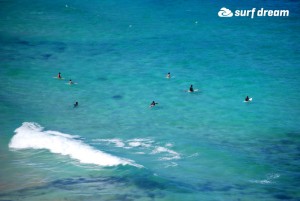 kiteboarding-canary islands-fuerteventura-surfdream-surfing37