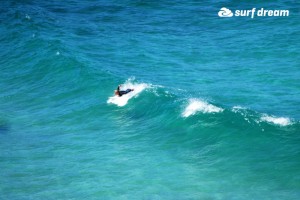 kiteboarding-canary islands-fuerteventura-surfdream-surfing38