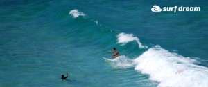 kiteboarding-canary islands-fuerteventura-surfdream-surfing40