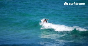 kiteboarding-canary islands-fuerteventura-surfdream-surfing43