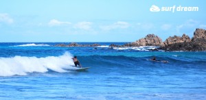 kiteboarding-canary islands-fuerteventura-surfdream-surfing55
