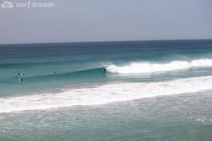 surf-dream-fuerteventura-surfing.19