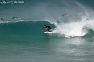 surf-dream-fuerteventura-surfing.38
