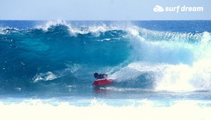 kiteboarding-canary islands-fuerteventura-surfdream-surfing448