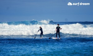 kiteboarding-canary islands-fuerteventura-surfdream-surfing225