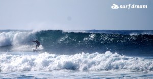 kiteboarding-canary islands-fuerteventura-surfdream-surfing59