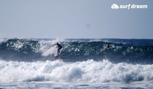kiteboarding-canary islands-fuerteventura-surfdream-surfing65
