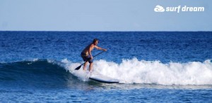 paddleboarding fuerteventura