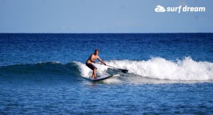 paddleboarding fuerteventura