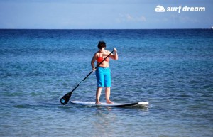 paddleboarding fuerteventura