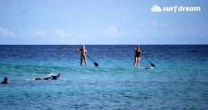 paddleboarding fuerteventura