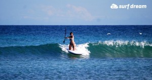 paddleboarding fuerteventura