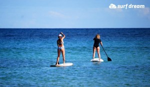 paddleboarding fuerteventura