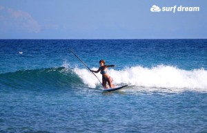 paddleboarding fuerteventura