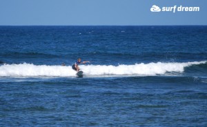 kiteboarding-canary islands-fuerteventura-surfdream-surfing177