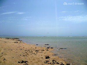 kiteboarding-canary islands-fuerteventura-surfdream-surfing233