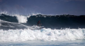 generoso-fuerteventura-surf-dream (19)
