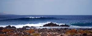 generoso-fuerteventura-surf-dream (8)